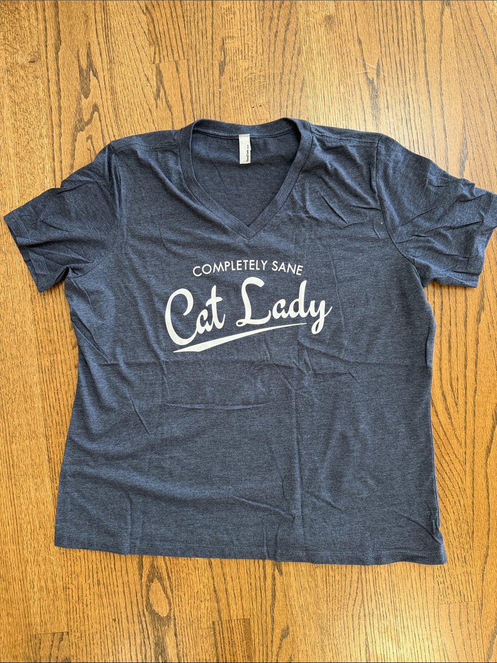 Completely Sane Cat Lady Short Sleeve V-Neck Tee - Navy